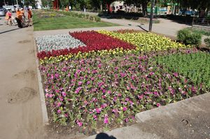 балаково